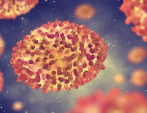 Varíola dos macacos: Brasil chega à marca de 5 mil casos; Amazonas tem 27 casos confirmados