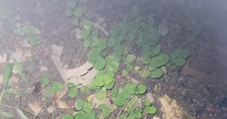 Vulgo ‘Marreco’ dispara contra PM e termina com CPF cancelado