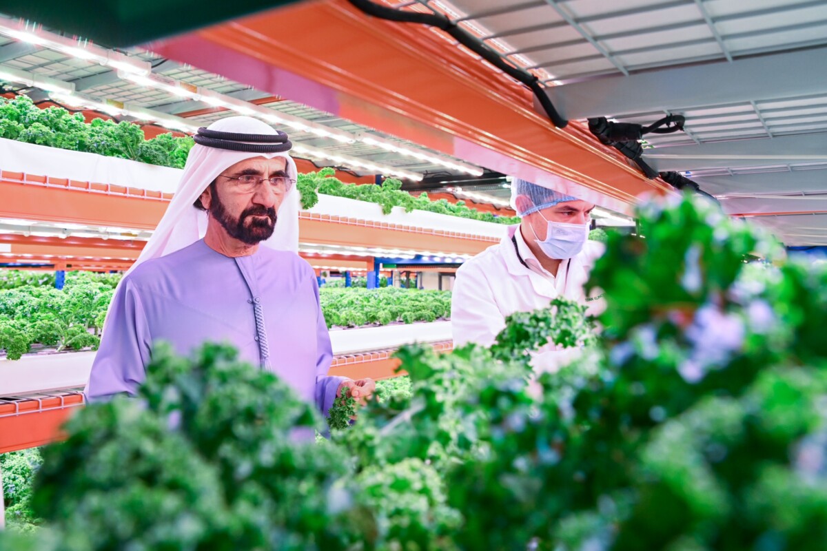Mohammed bin Rashid Al Maktoum visita a maior fazenda hidropônica vertical do mundo em Dubai