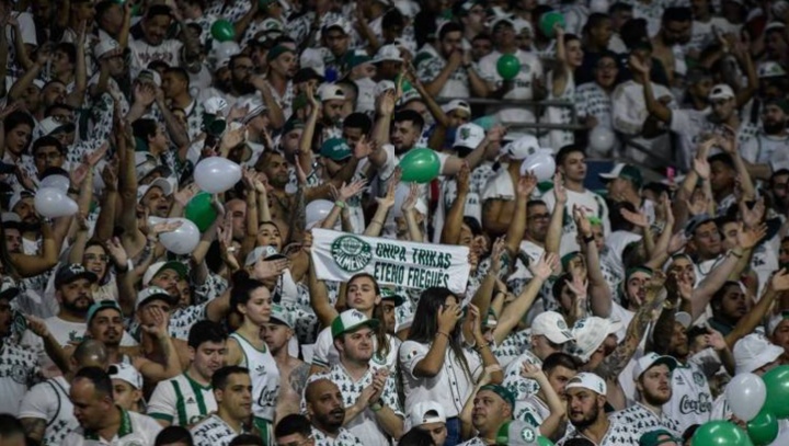 Palmeiras terá nova política para comercializar ingressos virtuais; entenda