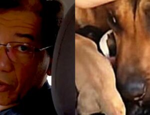 Apaixonado pela causa animal, vereador Kennedy Marques trata assessora como cadela