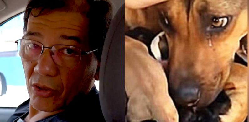 Apaixonado pela causa animal, vereador Kennedy Marques trata assessora como “cadela”