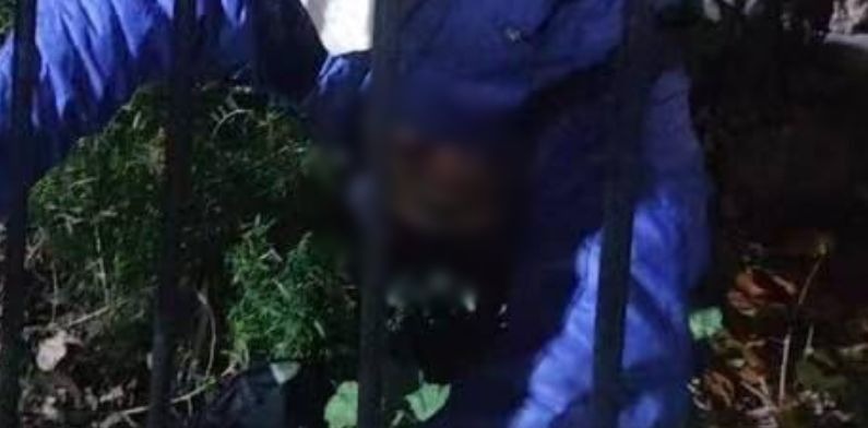 Vasectomia instantânea: homem tem testículo perfurado após “pular a cerca”; veja fotos