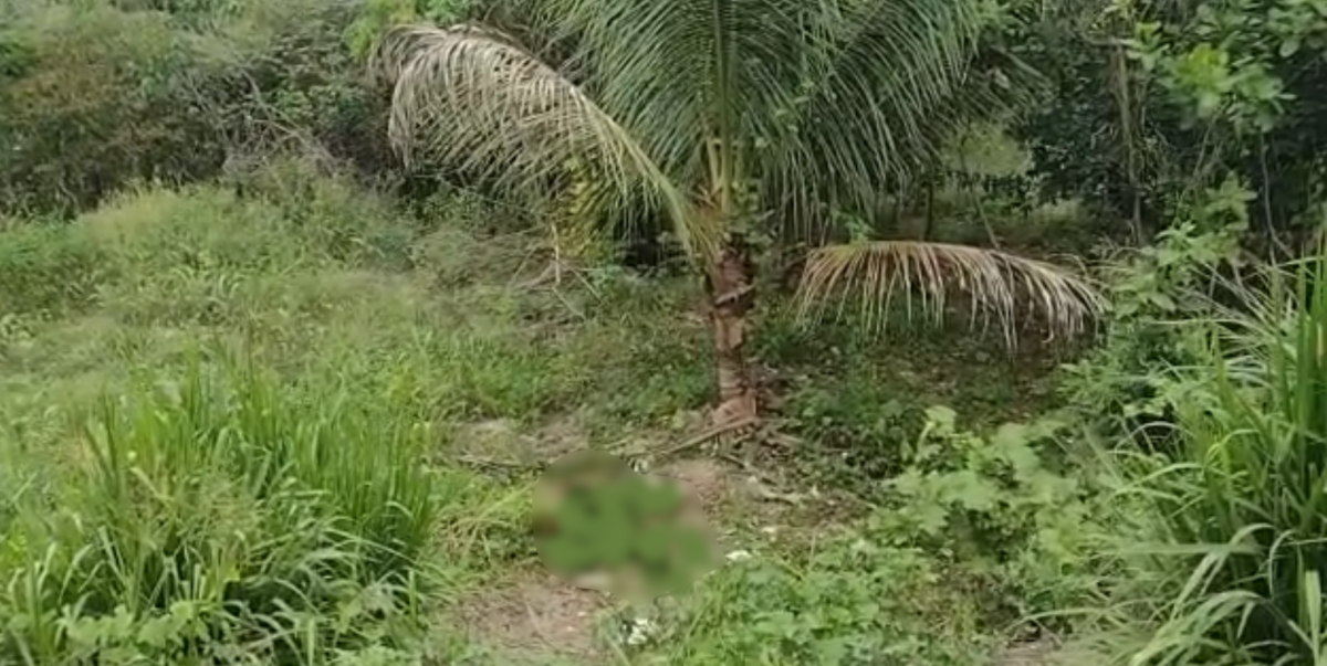 Homem é torturado até a morte e tem corpo desovado no Puraquequara; veja vídeo