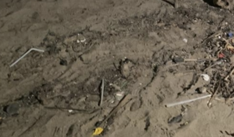 Mais uma ossada humana é encontrada em Manaus; veja imagens