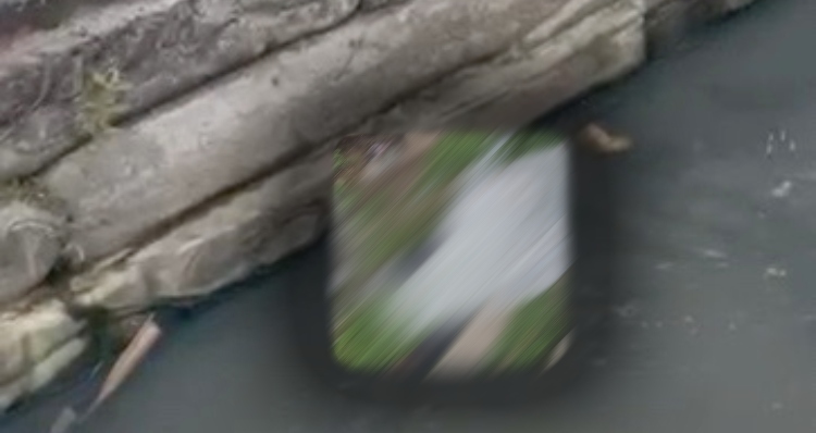 Urgente: Homem é encurralado e morto a tiros ao lado de rip-rap na Compensa; veja vídeo