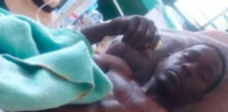 Fugindo de ataque de elefantes, homem acaba na boca do crocodilo; veja como ficou