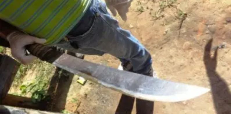 Homem é preso após atacar cachorros a ‘terçadadas’ no interior do Amazonas