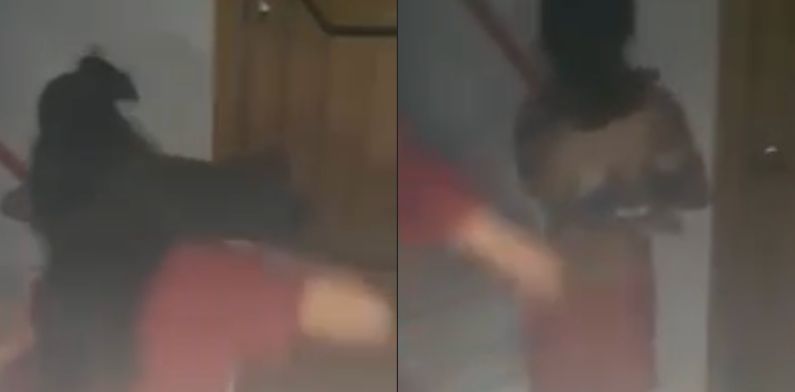 ‘Novinha’ leva corretivo de blindadas após ser flagrada ‘quicando’ com chefe do tráfico; veja vídeo