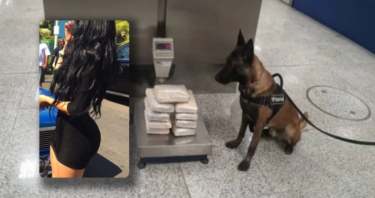 A casa caiu: blindada de Manaus é presa com “supermaconha” no aeroporto de Brasília