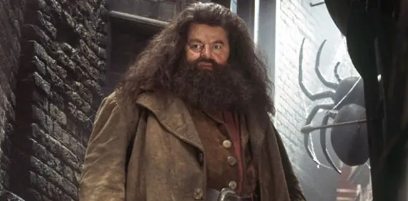 Ator que fez Hagrid em Harry Potter, Robbie Coltrane morre aos 72 anos