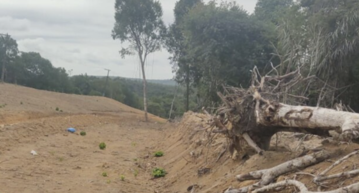 Urgente: com mãos amarradas, homem é espancado até a morte em Ramal do Distrito Industrial