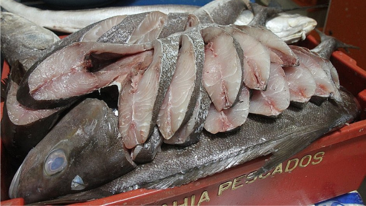 Amazonas registra 111 casos de rabdomiólise, doença que é associada ao consumo de peixes