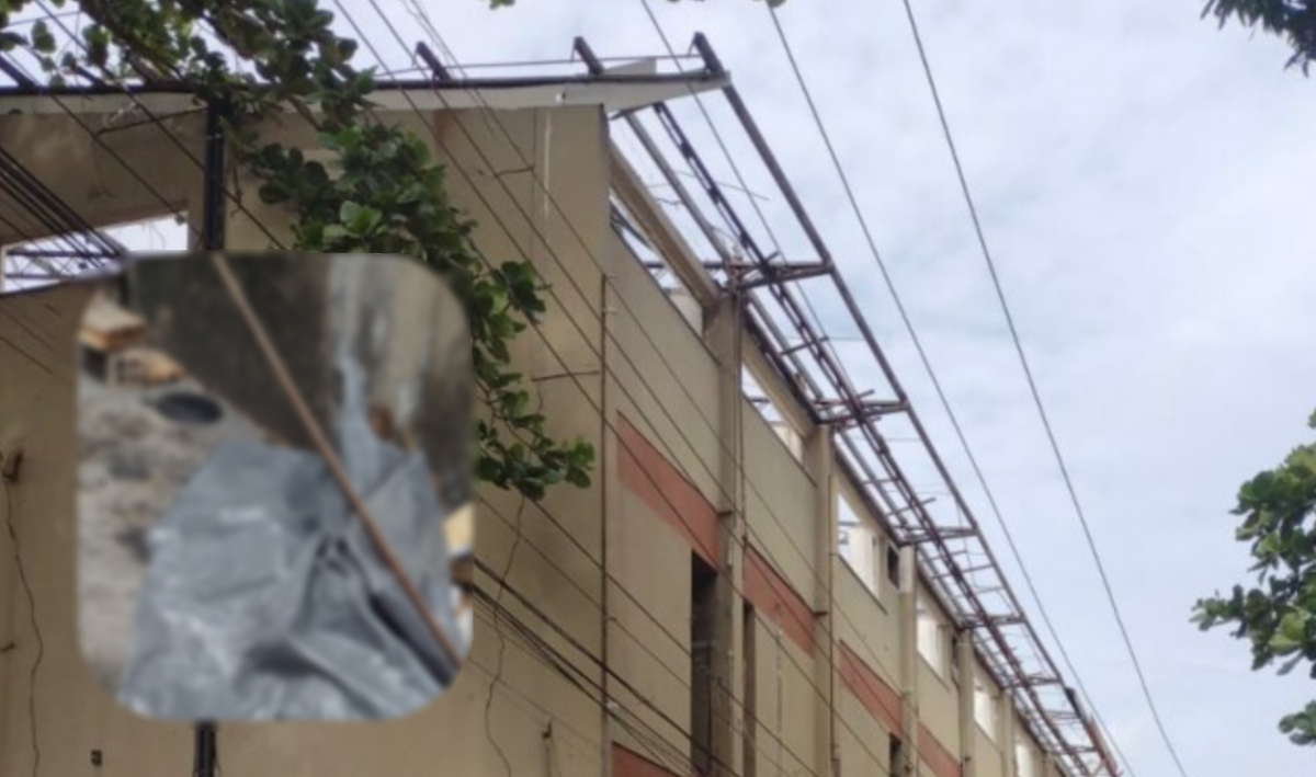 Buiu morreu ao cair de cabeça de uma altura de mais de 10 metros, em Manaus; veja vídeo