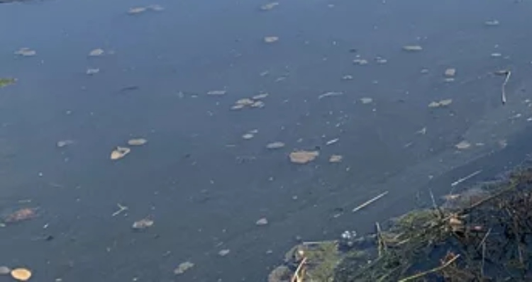 Corpo é encontrado em igarapé no bairro Nossa Senhora das Graças