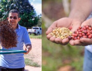 Proposta do deputado João Luiz sobre café clonal no AM é destaque nacional na TV Senado