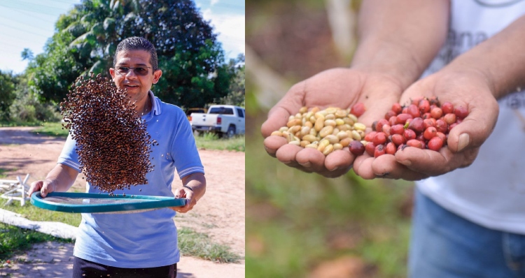 Proposta do deputado João Luiz sobre café clonal no AM é destaque nacional na TV Senado