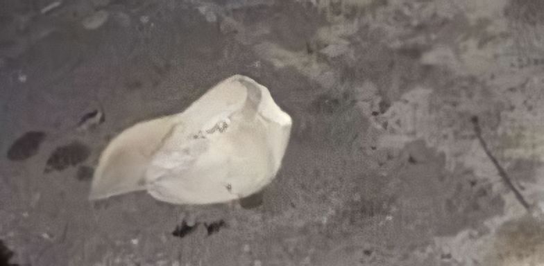 Urgente: jovem é execut4do no coração da Compensa; veja vídeo