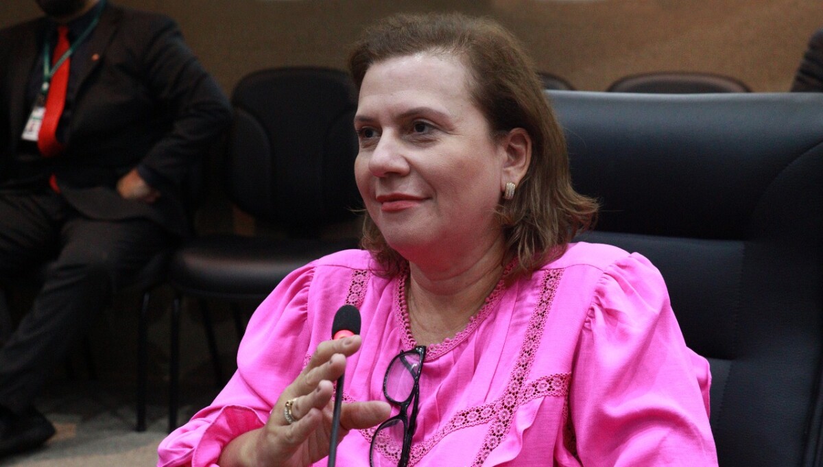 Vereadora Yomara Lins faz indicação que proíbe nomeação em cargo público de pessoas que agredirem idosos