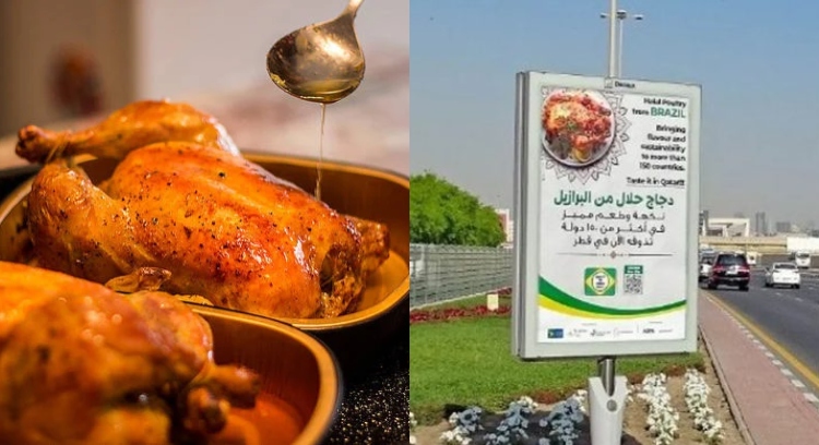 Carne de frango do Brasil ganha o gosto dos torcedores e vira destaque no Catar durante a Copa