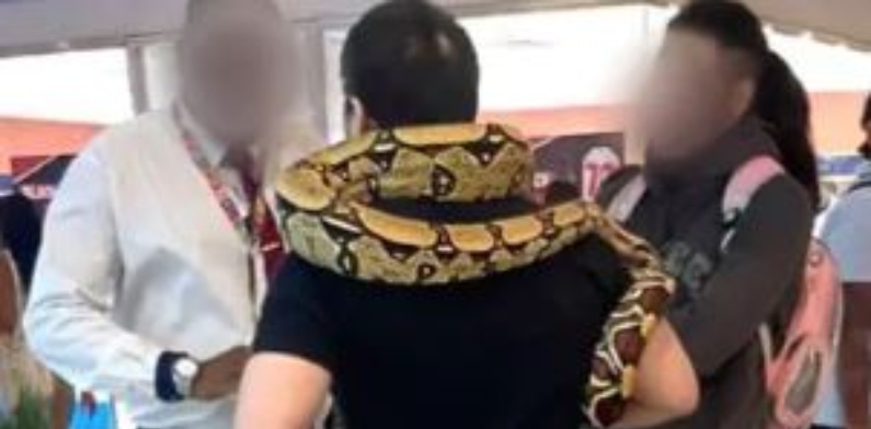 Homem é barrado tentando entrar com cobra em shopping, vira meme e viraliza nas redes sociais