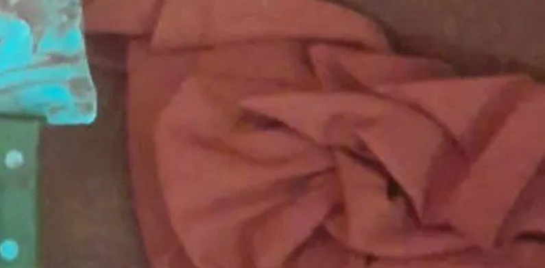 Caso amoroso entre sogro e nora termina em treta, gravidez, facada e enxadada na cabeça