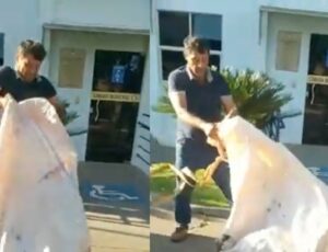 Fazendeiro indignado joga carc4ça de boi morto por invasores de terra na porta de Prefeitura; veja vídeo
