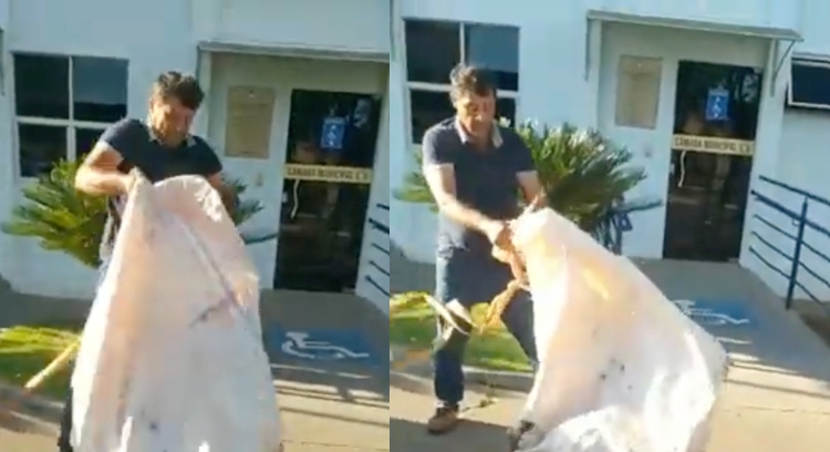 Fazendeiro indignado joga carc4ça de boi morto por invasores de terra na porta de Prefeitura; veja vídeo