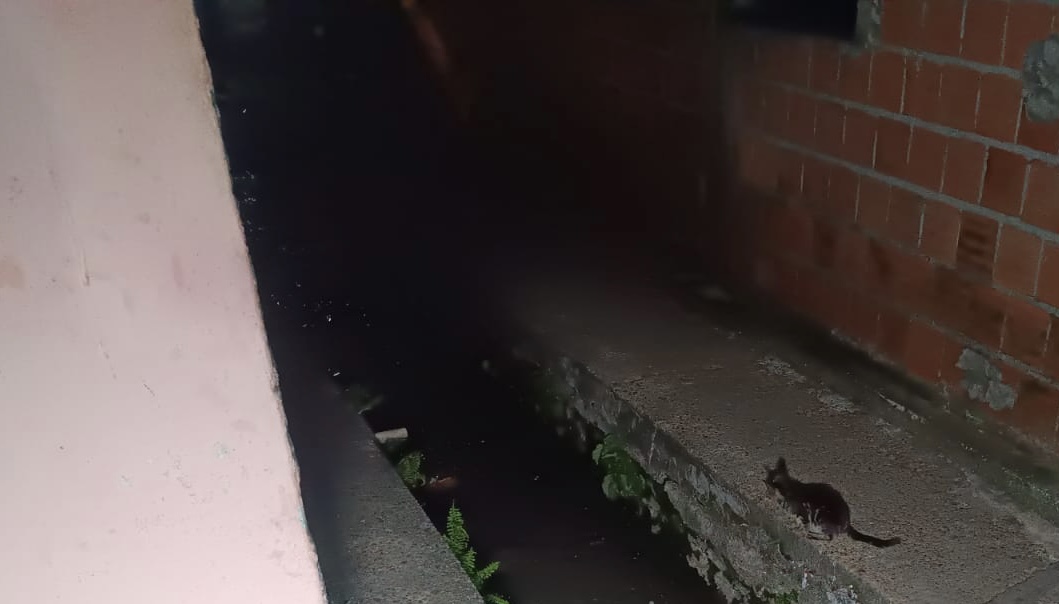 Urgente: homem é ass4ssinado durante tiroteio em rip rap na Compensa