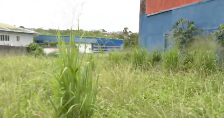 Profunda dor: mãe encontra filho assassinado em terreno abandonado na zona Leste de Manaus