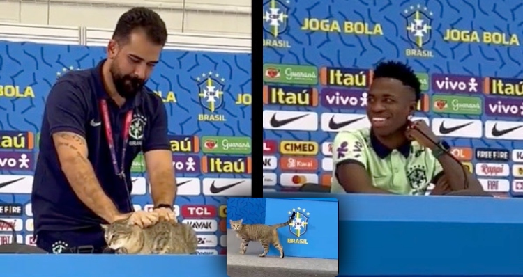 Assessor de Vini Jr retira gato que invadiu entrevista de forma polêmica e acaba “cancelado”; veja vídeo