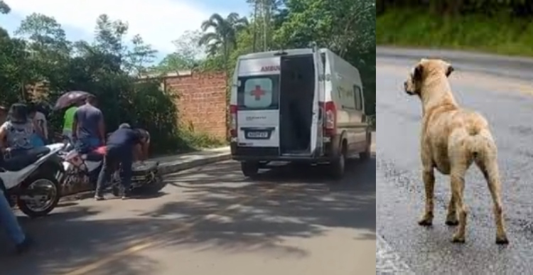 Motociclista e passageiro se acidentam após desviarem de cachorro em rua de Maués; veja vídeo