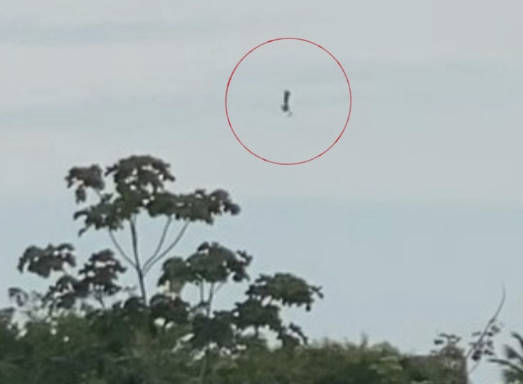 Paraquedista vive momentos de desespero após paraquedas não abrir durante salto em Manaus; veja vídeo