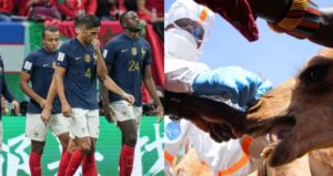 “Vírus do Camelo” deixa jogadores da França “baqueados” antes da final na Copa no Qatar