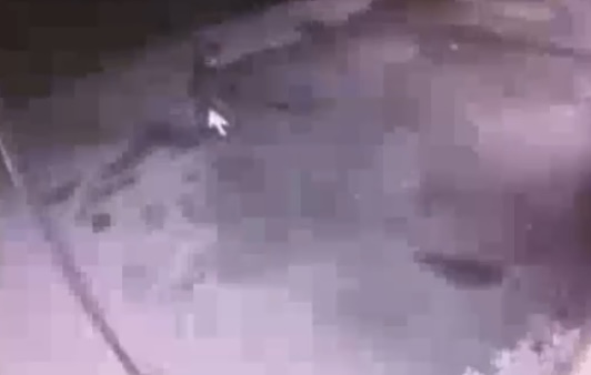 Homem é esfaquead0 pelo vizinho após discussão por barulho de som alto; veja vídeo