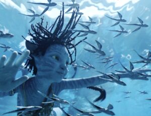 O longa Avatar: O Caminho da Água ultrapassou a marca de meio bilhão, segundo a revista Variety. Até agora, o longa arrecadou US$ 168,6 milhões nos Estados Unidos e US$ 387,3 milhões nos demais mercados, elevando seu total global para US$ 555,9 milhões. O longa fez cerca de US$ 550 milhões, US$ 200 milhões a mais do que seu orçamento. Até o Ano Novo, a projeção é de que o filme atinja a marca de US$ 1 bilhão mundialmente. Crítica: Avatar 2 pulsa nos choques entre o velho e o novo Embora James Cameron tenha preparado um total de quatro sequências de Avatar, o lançamento vai depender da boa performance de Avatar: O Caminho da Água nas bilheterias. Se assim for, o terceiro longa chegará ao público em dezembro de 2024, enquanto Avatar 4 chega em 2026, e Avatar 5, em 2028.