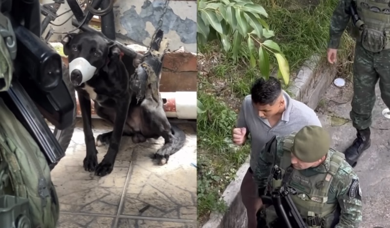 Revoltante: “valentão” do Educandos é flagrado espanc4ndo o próprio cachorro todos os dias; veja