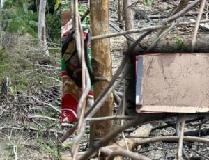 Ladrã0 que foi r0ubar em área rival m0rre da pior maneira possível no ramal do Brasileirinho; veja vídeo