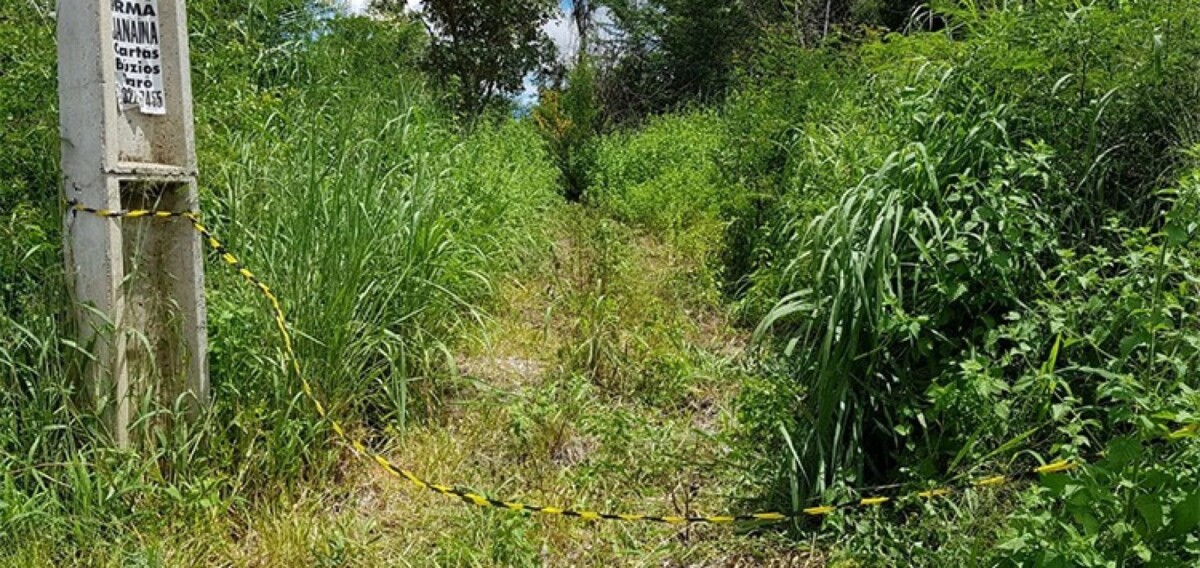 Moradores encontram fet0 em matagal do bairro Japiim