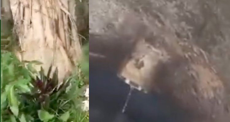 Corp0 é encontrado dentro de bueiro no bairro Petrópolis; veja vídeo