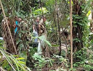 Urgente: Corp0 é encontrado em área de mata no bairro Nova União
