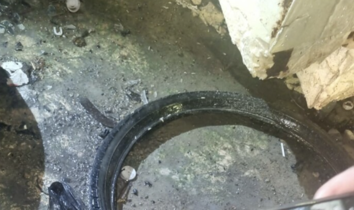 Homem vai catar latinha e encontra cabeç4 humana na zona Norte de Manaus; imagem f0rte