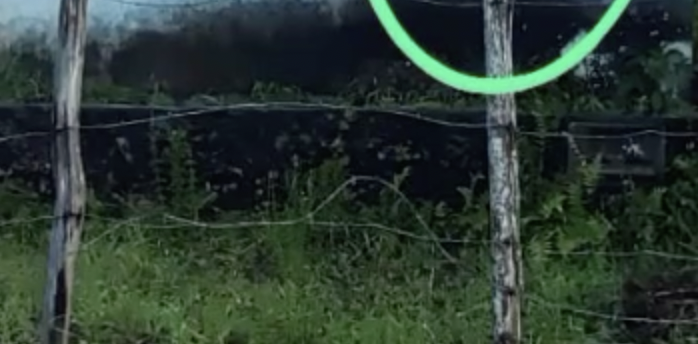 F4cção se diverte degol4ndo jovem e ateando fogo no c0rpo; veja vídeo