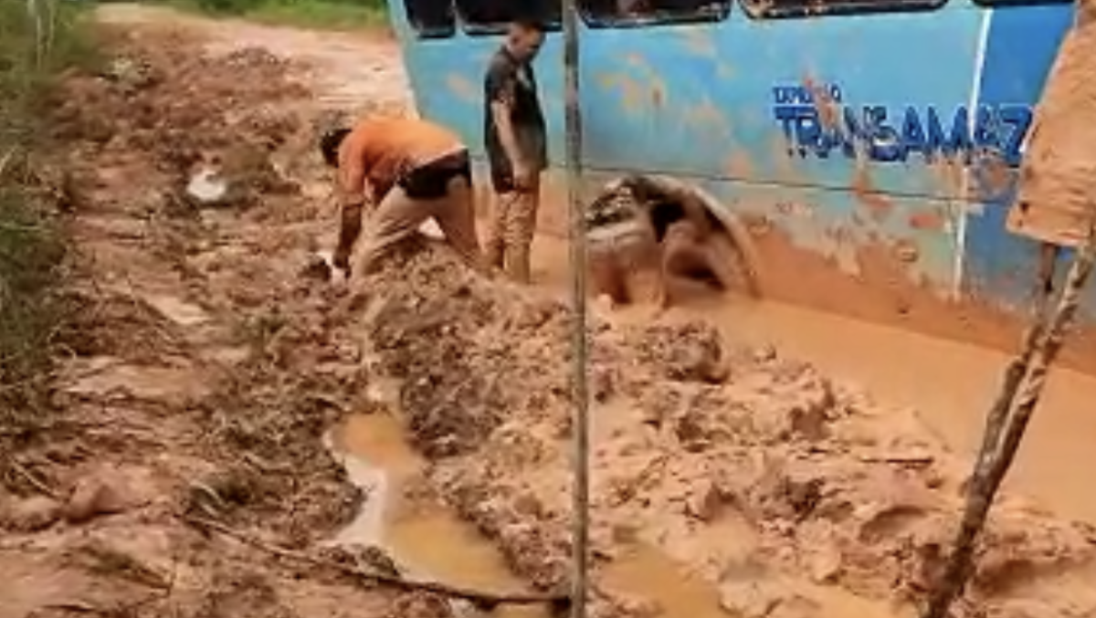 Vídeo mostra motorista lutando para sair de atoleiro na BR-319; veja