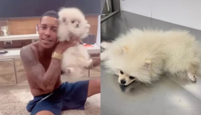 Cachorro de MC Poze passa mal após comer cigarro de maconha do cantor; veja vídeo