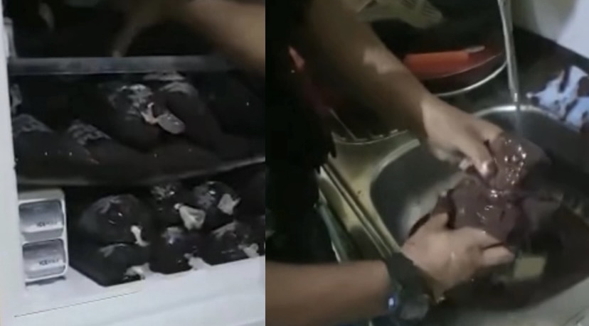 “Açaí temperado do bom”: novo método de tráfico de dr0gas internacional é desvendado; veja vídeo