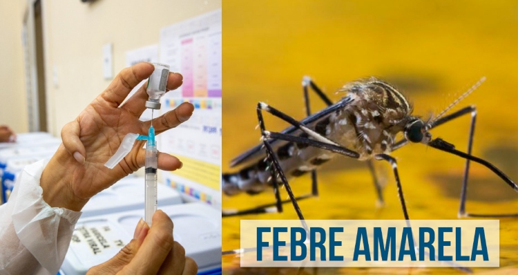 Prefeitura de Manaus alerta sobre importância de vacinar crianças contra a febre amarela