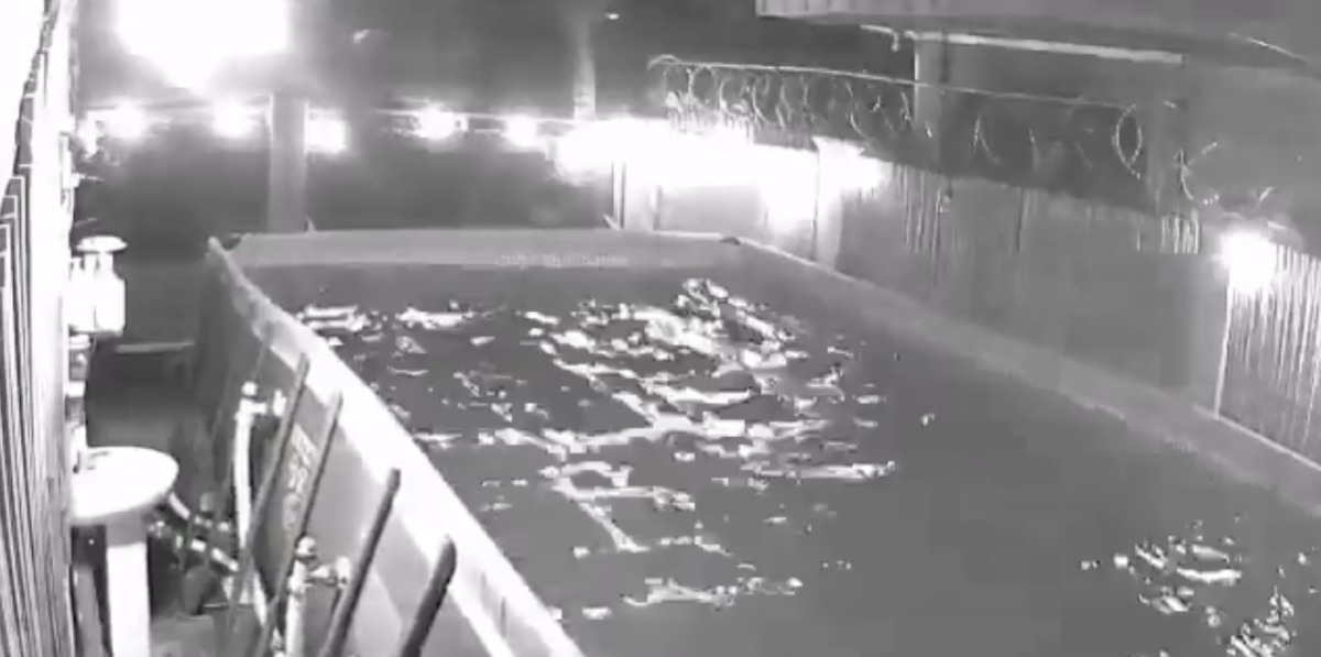 Terremoto atinge o sul das Filipinas; veja vídeo