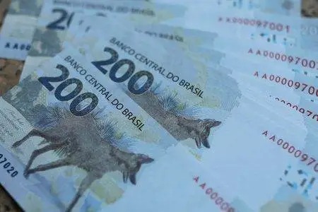 Brasileiros dizem que “lobo-guará” está desaparecido: “Nota de R$ 200? Nunca nem vi”