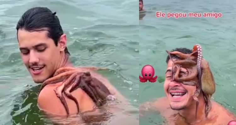 “Linda amizade”: polvo fica grudado em homem durante passeio no mar; veja vídeo